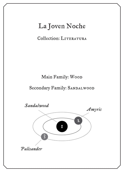La Joven Noche